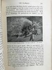 1903年 动物研究 259幅插图 漆布精装32开 商品缩略图10