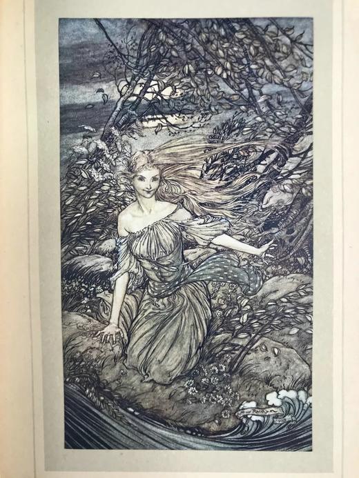 鬼才拉克姆15幅彩色手工贴图！1909年 莫特·富克《水妖记》 漆布精装16开 商品图7