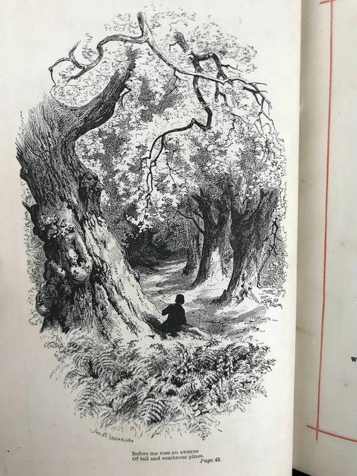 含纹章式藏书票，1880年 朗费罗诗集 配多幅插图 全真皮精装32开 商品图9
