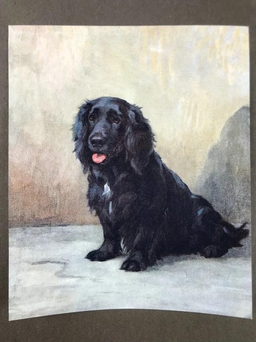 1914年 高尔斯华绥《回忆》 20余幅插图 精装16开 商品图2