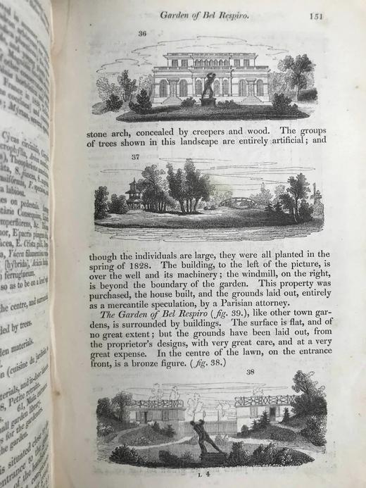 1833年 园丁杂志 近百幅版画插图 真皮精装大32开 商品图12