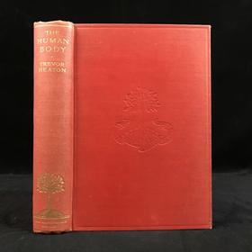 1928年 人体图鉴 27幅插图 漆布精装大32开 书脊封底烫金压花