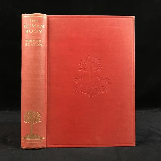 1928年 人体图鉴 27幅插图 漆布精装大32开 书脊封底烫金压花 商品图0