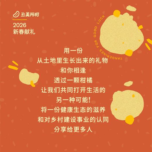 [屁侠推荐]丑美阿柑生态零食大礼包 买1得8/买1得11 商品图4