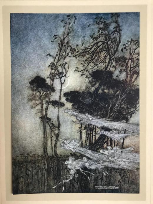 鬼才拉克姆40幅彩色手工贴图！1908年首版 莎士比亚《仲夏夜之梦》 漆布精装16开 商品图4