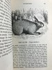 1843年 趣味博物学家 350余幅版画插图 全真皮精装32开 商品缩略图14