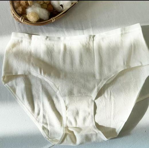 素道棉内裤 | 有机 商品图1