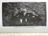 1920年 西顿·戈登《丘陵与峡谷之地：艾奥纳岛与内赫布里底群岛的野生动物》 57幅照片插图 漆布精装18开 商品缩略图11