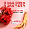 翠云堂红景天人参胶囊  10片/盒 商品缩略图2