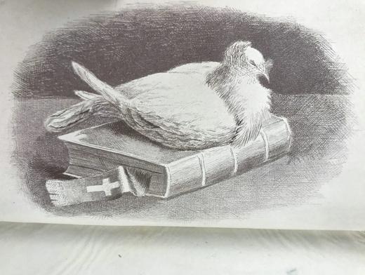 1891年 布莱特温夫人《以善意赢得的野生自然》 17幅插图 真皮精装36开 商品图2