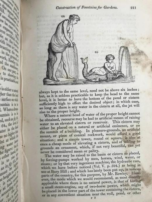 1833年 园丁杂志 近百幅版画插图 真皮精装大32开 商品图9