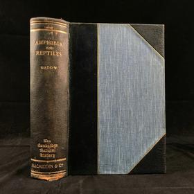 1920年 两栖与爬行动物图鉴 181幅插图 漆布精装大32开