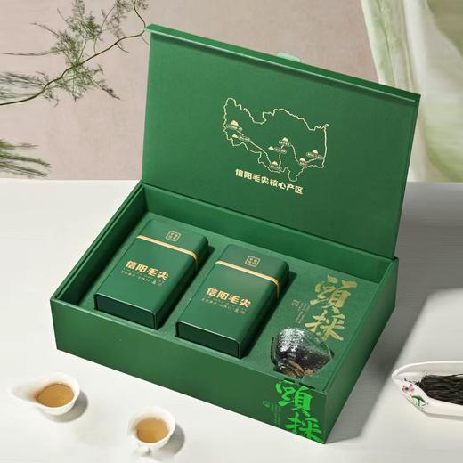 信阳頭採【绿.2听毛尖+1玻璃杯】25元1套.整箱20套 商品图2