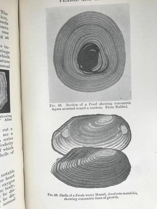 1925年 生物学读本 70幅版画插图 漆布精装32开 商品图14