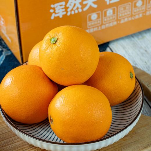 【中华红橙】果香浓郁、 商品图4