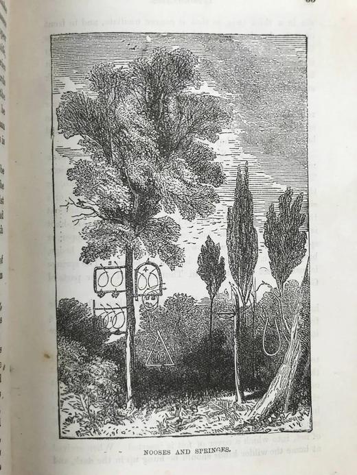 约19世纪后期 笼养鸟类指南 10余幅版画插图 漆布精装36开 商品图8