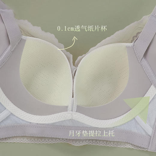 ZYQ-521  蕾丝内衣调整型舒适性感聚拢透气无钢圈收副乳防下垂小胸薄款文胸（单件） 商品图3