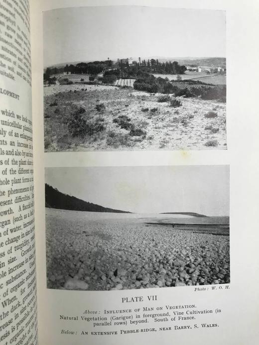 1959年 植物学教材 410幅插图 精装大32开 商品图12