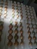 初产蛋60枚120元，全国包邮 商品缩略图4