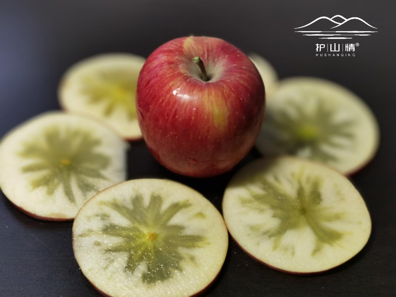 护山生态冰糖心丑苹果基地直邮