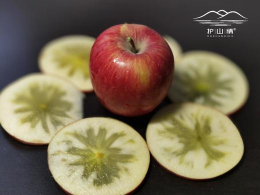 护山生态冰糖心丑苹果基地直邮 商品图0