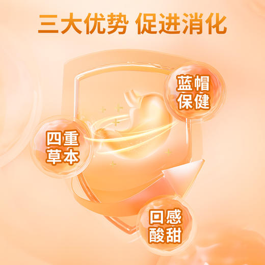 翠云堂山楂麦芽白术咀嚼片  10粒/盒 商品图2