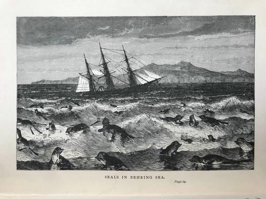 1899年 穿越格陵兰岛的冰原 12幅插图 漆布精装32开 商品图6