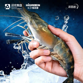 【鲜活】罗氏虾