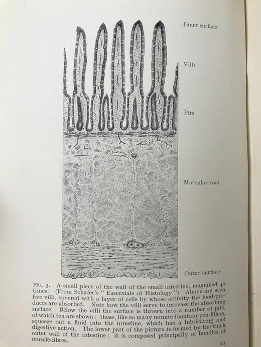 1928年 人体图鉴 27幅插图 漆布精装大32开 书脊封底烫金压花 商品图9