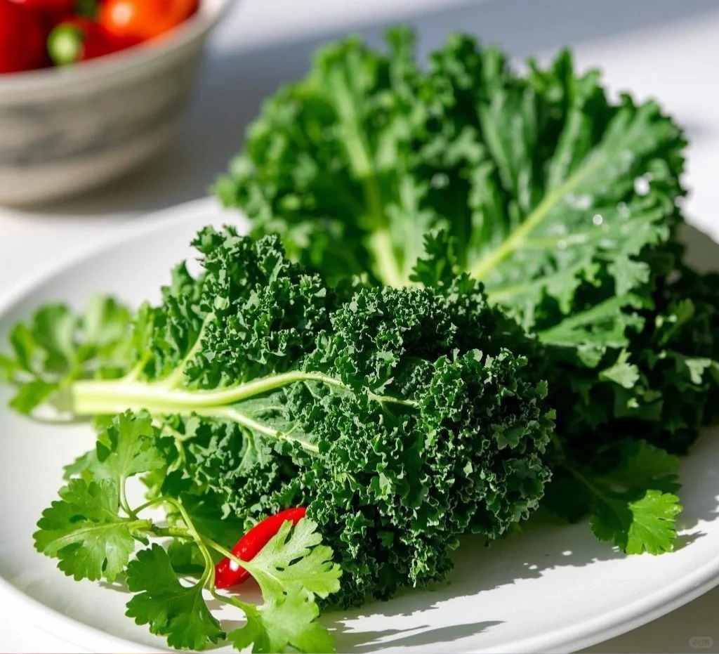 鸿翠园 有机羽衣甘蓝