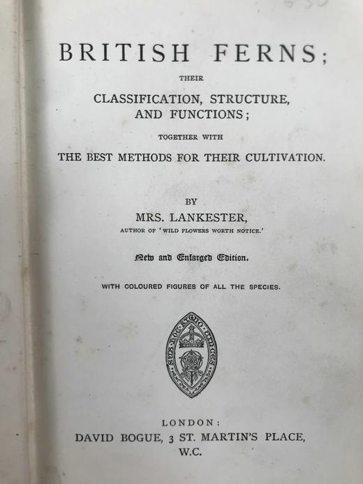 约19世纪后期 兰克斯特夫人《英国蕨类植物图鉴》 16幅套色版画插图 漆布精装32开 商品图3