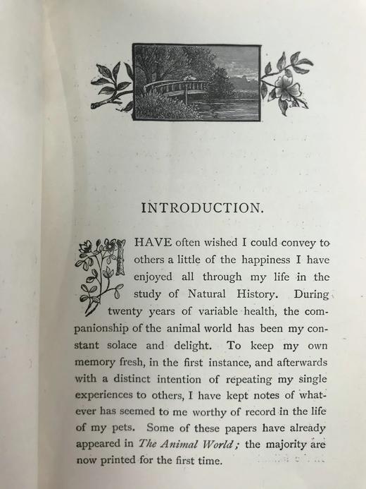 1891年 布莱特温夫人《以善意赢得的野生自然》 17幅插图 真皮精装36开 商品图6