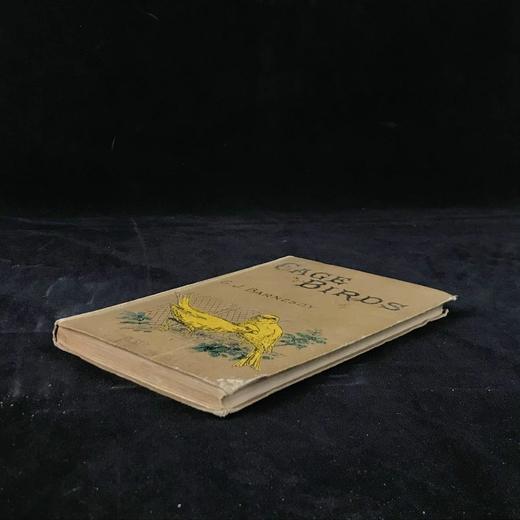 约19世纪后期 笼养鸟类指南 10余幅版画插图 漆布精装36开 商品图1