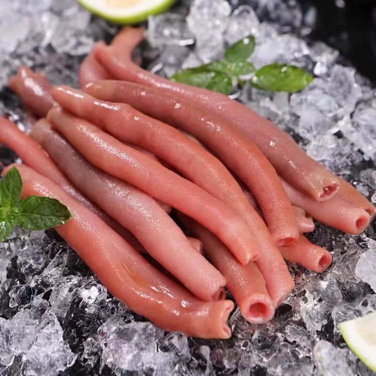 海肠约200g/袋 冷冻保存