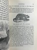 1843年 趣味博物学家 350余幅版画插图 全真皮精装32开 商品缩略图11