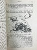 1920年 两栖与爬行动物图鉴 181幅插图 漆布精装大32开 商品缩略图7