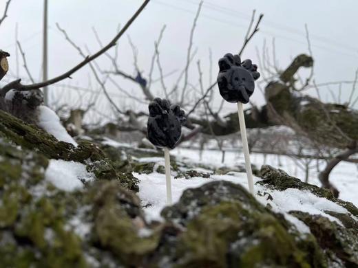 【梨膏棒棒糖30支】 百年古树梨 纯莱阳梨膏熬制 剂防腐剂 新鲜现做 商品图4