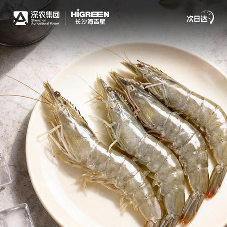 【鲜活】大明虾    500g/份（约20-30只） 商品图0