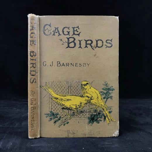 约19世纪后期 笼养鸟类指南 10余幅版画插图 漆布精装36开 商品图0