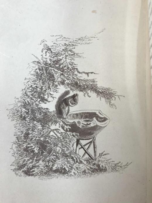 1891年 布莱特温夫人《以善意赢得的野生自然》 17幅插图 真皮精装36开 商品图9
