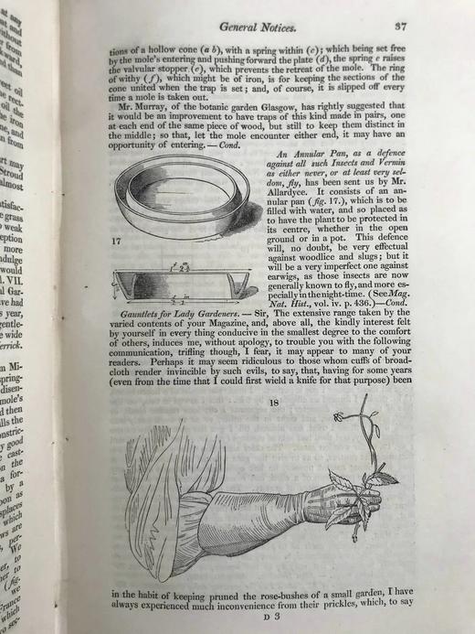 1832年 园丁杂志 近百幅版画插图 漆布脊精装大32开 商品图7