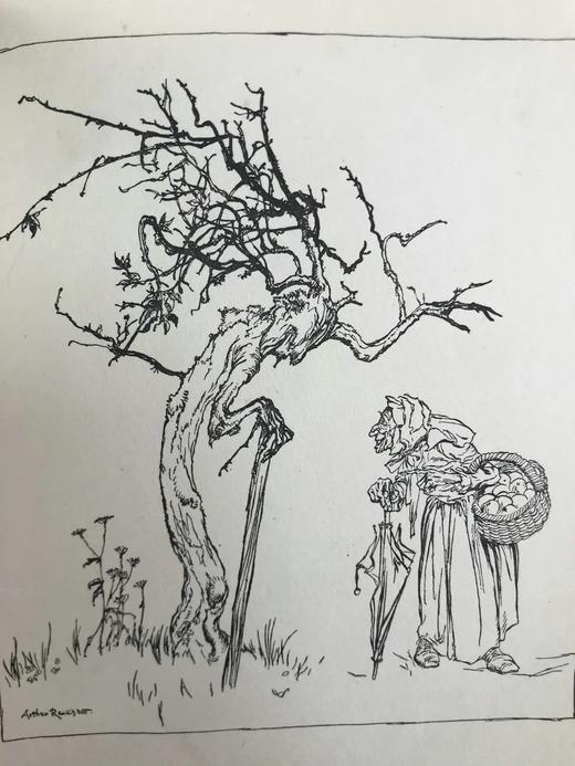 约20世纪早期 菲尔波茨《一碟苹果》 鬼才拉克姆3幅彩色7幅黑白插图 漆布精装32开 商品图7