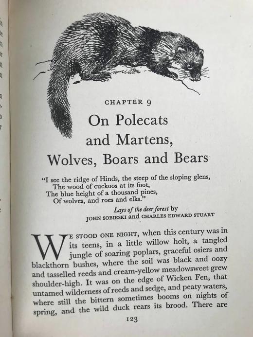 1956年 戴伊《它们行走于野外》 16幅彩色9幅黑白插图 精装大32开 商品图14