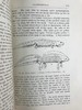 1920年 两栖与爬行动物图鉴 181幅插图 漆布精装大32开 商品缩略图12