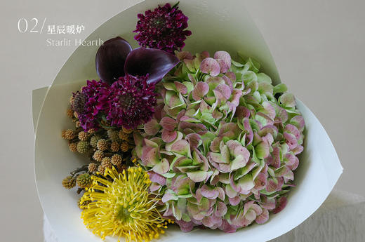 冬日抒情诗 Snow Verse 商品图2