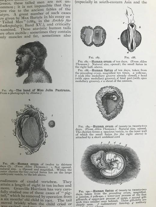 1923年 人类进化的科学研究（全2卷合订本） 408幅版画插图 漆布精装大32开 商品图7