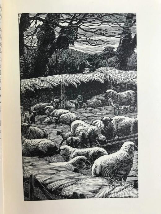 1934年 斯特里特《农夫的荣耀》 拉韦拉特木刻版画插图 精装32开 商品图9
