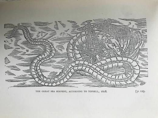 1901年 莎士比亚时代的英国小说 57幅插图 漆布精装32开 商品图7