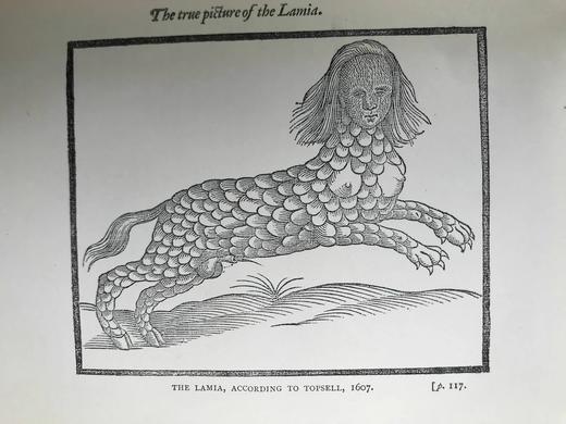 1901年 莎士比亚时代的英国小说 57幅插图 漆布精装32开 商品图9