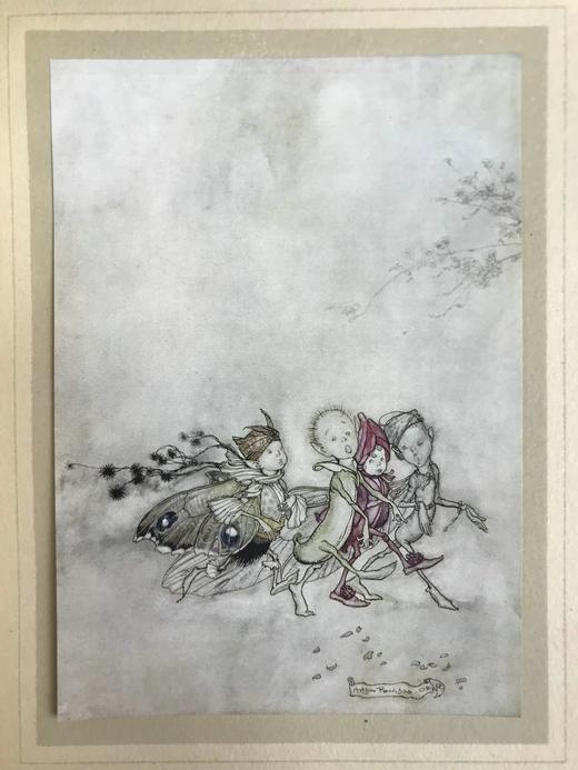 鬼才拉克姆40幅彩色手工贴图！1908年首版 莎士比亚《仲夏夜之梦》 漆布精装16开 商品图13